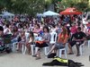 Festa dels Animals a Gràcia