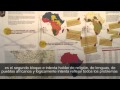 Afrika Inaanua: Àfrica decideix