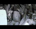 Coincidint amb el cinquè aniversari de l·inici de la guerra d·Iraq, aquest vídeo recorda que encara estan pendents de jutjar els responsables d·aquella massacre que encara dura en l·actualitat.