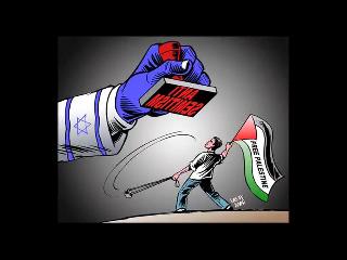 Entrevista amb la Xarxa d'Enllaç amb Palestina.<br/>