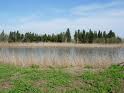 Els deltes sempre estan en moviment, la seva aparença canvia al llarg del temps, ciutats que una vegada foren costeres, en l·actualitat es troben situades a kilòmetres de la mar. Però el temps de transformació natural d·aquests no és traumàtic. El paisatge es modela a poc a poc i la seva gent s·hi pot adaptar. Al delta del Llobregat la velocitat dels canvis s·ha accelerat dramàticament: la pressa per a disposar de les grans infraestructures fa que les obres no parin mai i que el paisatge es transformi ràpidament, sense temps per a acostumar-s·hi.«S·ha presentat a Sant Boi el documental ·El delta negat·.  En un moment en que s·està tramitant el Pla de protecció del Delta i el Pla Teritorial Metropolità de Barcelona, és bo saber quin és el punt de vista dels soferts habitants d·aquest espai que ens han anat prenent a poc a poc. Encara hi ha propostes de més infraestructures i més ciment al delta, algunes tan pintoresques com fer l·aeroport sobre el mar, encara s·impulsa un urbanisme expansiu com el Pla de Ponent de Gavà, les Oliveretes de Viladecans i, fora de l·àmbit deltaïc, però important per Sant Boi, la riera de Can Solé on cal evitar un planejament centrat en un projecte residencial i aprofitar l·oportunitat de fer una façana de ciutat verda i protegir l·últim corredor que uneix les masses forestals de la vall de Santa Bàrbara del Llor amb el riu. Segueix imperant la visió que el delta és un espai encara buit i que cal omplir, no amb carxofes, sinó amb formigó, asfalt i contenidors. Plantejar la viabilitat del parc agrari, la protecció de les zones humides, la millora ambiental del riu, la millora del nostre paisatge, no és un luxe, un caprici nostàlgic de quatre ecologistes que només pensen en ocells, tot al contrari, millorar el nostre entorn és qualitat de vida, és salut i és una millor identificació amb el lloc on vius. En temps de crisi la proximitat és un valor, només cal veure un diumenge al matí la quantitat de gent que s·acosta al riu malgrat l·estat de les obres, o s·enfila per les nostres muntanyes, cercant un respir i una mica de paisatge per engrandir l·esperit». Comenta en el seu bloc Josep M. Cervelló.El delta negat