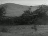 'Història d'una anarquista' (An anarchist's story, 2007) és un documental de Mark Littlewood, coproduït per Televisió de Catalunya i BBC Scotland, que explica a través d'acurades reconstruccions, abundant material d'arxiu i les intervencions de prestigiosos especialistes la història d'una jove periodista i anarquista escocesa que en va ser testimoni de primera fila de la guerra civil espanyola: Ethel MacDonald.
<br/><br/>