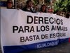 Activistes pels drets animals de la Fundació Equanimal, Igualdad Animal i Fauna Libre han dut a terme dues noves protestes contra el campionat de ·tir de coloms a braç· que es va celebrar diumenge 26 de febrer del 2012 a València, al municipi de Riba-roja de Túria, coincidint amb la primera tirada puntuable del campionat d·Espanya d·aquesta modalitat encara permesa a l·estat.A les 10h, i en ple camp de tir, els activistes han ofert als caçadors plats de tir, amb la finalitat d·incentivar-los per a que optin pel seu ús en comptes de provocar el patiment i mort de milers d·animals.Dues hores més tard, a la Plaça dels Pinazo de València, al voltant de 50 activistes han dut a terme una protesta en la qual han mostrat a 3 coloms morts obtinguts del campionat, amb la fi recordar als milers de coloms que en aquells mateixos instants estaven perdent la vida i alhora exigir la fi d·aquesta modalitat de caça i de qualsevol altra pràctica que no respecti als animals.Aquesta modalitat consisteix a disparar i abatre al major nombre de coloms possible. Els coloms arriben amuntegats en gàbies, després són atrapats i llançats de forma violenta a l·aire i allà pateixen l·impacte dels trets.Després de ser abatudes, cauen al terra a una velocitat d·entre 50 i 70 km/hora, i moltes pateixen una perllongada agonia fins a morir.En altres països d·Europa els coloms ja no són matats a aquest efecte, i en lloc d·ells s·utilitzen plats.Per a les entitats organitzadores, aquest campionat, igual que qualsevol modalitat que suposi la utilització d·animals, hauria de ser abolit, ja que causa patiment i mort i anuncien que seguiran treballant per a avançar cap a una societat on matances com les que es duran a terme en aquest campionat formin part del passat.