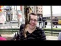 Video de la calçotada Popular de sants 2012, organitzada pel casal jaume Compte; música de Lo Petit Comitè... versió 'especial' de Song 2 de Blur; El romesco patrimoni de la Unesco ja!!! Siiiiiiiiii....
<br/>
<br/><a href='http://www.facebook.com/lopetitcomite' target='_blank'>Facebook Lo Petit Comité</a>
<br/><a href='http://www.myspace.com/lopetitcomite' target='_blank'>Myspace Lo Petit Comité</a>
<br/><a href='mailto:lopetitcomite@gmail.com'>lopetitcomite@gmail.com</a><br/>