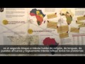 Afrika Inaanua: Àfrica decideix. Un continent, mons diversos. - Vídeo subtitulado en castellano -.Jordi Fexas, responsable de l·exposició.Donat que Àfrica està vivint una transformació impressionant, que La Xina està revolucionant el model de cooperació d·Àfrica amb el Món i els organismes multilaterals i que el model de cooperació està essent qüestionat per sectors de la pròpia cooperació, vàrem decidir que en lloc de fer una exposició sobre la cooperació a l·Àfrica, era més oportú tractar d·explicar la complexitat del món africà i de les realitats africanes.IGMAN - Acció Solidària