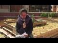 En aquest contrainfos parlem de la jornada de rereguarda en moviment al CSOA l·Astilla, amb l·inici de la campanya ·no ens identifiquem·. A més, anirem cap a l·illa de Sicília per parlar sobre el moviment NO MUOS i la construcció d·una base militar de la marina americana al poble de Niscemi. Torna l·observador de la informació carregat d·informació, la portada del periodico del 6M, la noticia de E-noticies ·quin fàstic·, el video mofa de Polònia sobre el burka a lleida i la criminalitzacio de les manfestacions per part de l·informatiu de telecinco.Per utim, l·entrevista REVOLUCIO INTEGRAL, AUREA SOCIAL