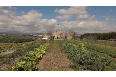 Al Poblenou de Barcelona, a Montcada i Reixac, a la Llagosta o a Gavà, avui, trobem diferents experiències d·apropiació de terres on es desenvolupen projectes autogestionaris al voltant de l·agricultura orgànica. Parlant amb algunes de les seves protagonistes,trobem que, mitjançant l·ocupació de terres, s·intenta fomentar l·autoconsum,la creació de xarxes de suport mutu a barris treballadors durament castigats per la crisi, experiències pedagògiques per recuperar coneixements del món rural ja perduts, la creació d·espais de lleure al marge de l·oci comercial o, fins i tot, experiències d·autoocupació.La Directa - La terra per a qui la treballa