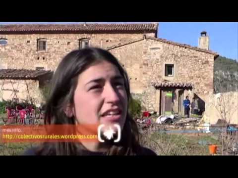 Contrainfos 63 - Dilluns, 16 Desembre, 2013 