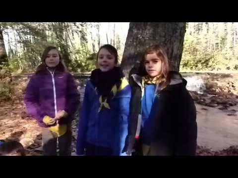Perquè no volem la MAT, ni aquí ni enlloc, per la salut dels nostres i pel rerefons obscur de la MAT, NO LA VOLEM!!!!!!