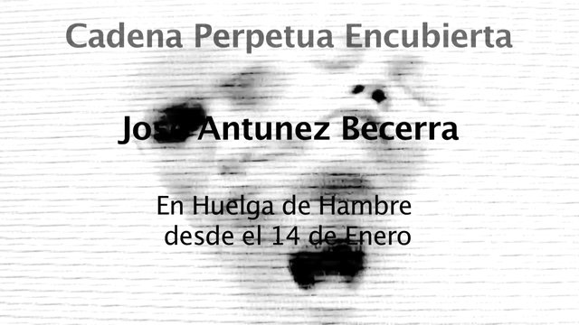 Una cadena perpètua encoberta, solidaritat amb Jose AntúnezJosé Antúnez, condemnat pel motí de Quatre Camins, en vaga de fam contra ·la injustícia del sistema punitiu·Jose Antúnez Becerra sosté una vaga de fam des del 14 de gener a la presó de Brians 2 per reivindicar els seus drets i per assenyalar la seva situació, fruit de la seva lluita contra les institucions punitives.Antúnez Becerra ha iniciat aquesta lluita perquè se li revisi la condemna de dinou anys de presó, emesa arran del motí del centre penitenciari de Quatre Camins de l·any 2004, ja que ell mateix considera aquesta sentència com una revenja per la seva militància contra la institució penitenciària. Segons expressa el mateix pres en un comunicat fet públic el 20 gener: ·ara estic pagant una injustícia, perquè en temps de la transició, dins de la presó, vaig formar part de la COPEL (Coordinadora de Presos en Lucha) i destaco que la base per condemnar-me ha estat el meu historial, a banda de les pressions polítiques instrumentades amb els sindicats de presons i els mitjans de comunicació·.Amb la vaga de fam, Antúnez també reivindica alguns drets que li pertoquen com a pres, com és el d·obtenir permisos i projectes de futur, ja que compleix els requisits per fer tallers o cursos. A més, sempre ha tingut problemes a les diverses presons per on ha passat fins a dia d·avui, ja que assegura que li apliquen registres i controls arbitraris, li retornen les seves pertinences de trasllat molt tard o, directament, ni les hi retornen, segons han informat familiars i grups de suport del pres.Antúnez Becerra ja ha perdut més de quatre quilos i té el sucre i la pressió molt baixes. Tot i així, ell es troba amb ànims i força per seguir amb la seva lluita, ja que, diu, l·únic que li queda és la seva vida per fer-se escoltar. ·Abans que em mati lentament l·administració penitenciària, lluitaré contra la injustícia que ha comès el tribunal que em va sentenciar, com també contra l·administració penitenciària·, ha expressat Antúnez al comunicat. Els grups de suport a Jose Antúnez Becerra demanen màxima difusió i fer pressió a la Direcció de Brians 2.Motí de Quatre Camins de 2004Jose Antúnez Becerra va veure com s·incrementava la seva pena a dinous anys de presó i es convertia la seva condemna en una cadena perpètua encoberta de fins a 30 anys acumulatius de reclusió per la sentència emesa l·any 2008 arran dels fets del motí al centre penitenciari de Quatre Camins l·any 2004.El motí va sorgir per la insuportable situació que, segons els reclosos, es vivia a la presó esmentada des de feia temps. L·any 2002 ja hi va haver un motí per la manca d·assistència mèdica, les morts a presó i la reivindicació de diversos drets. Els col·lectius de suport a persones preses i els propis presos de Quatre Camins relaten que ·les tortures, les vexacions, les humiliacions i els maltractes al centre eren sistemàtics· i que ·les denúncies judicials normalment s·arxivaven·. En aquest context, sorgeix l·espurna del motí de 2004 quan, davant d·un grup de presos, diversos carcellers colpegen un reclús pel fet que aquest no tenia permís per anar a la bugaderia.Com a conseqüència de l·amotinament, del qual va resultar ferit el subdirector de Quatre Camins Manuel Tallón, 56 presos van ser traslladats a diverses presons de Catalunya i, almenys cinc d·aquests, van ser, fins i tot, dispersats sota règim FIES a presons d·arreu de l·Estat espanyol. El 5 de juliol de 2004, la Generalitat ja admetia la possibilitat que 26 presos podrien haver estat colpejats i maltractats pels carcellers de presons abans de sortir de Quatre Camins, hores després d·haver controlat el motí. Els presos afectats parlen de ·pallisses brutals· i de ·l·obligatorietat de passar per un llarg passadís format per carcellers a cada banda, que els clavaven cops de porra brutals i puntades de peu de forma indiscriminada·.Les denúncies no van ser suficient perquè el Síndic de Greuges actués d·ofici. Col·lectius de suport a les persones preses apunten que l·omissió del Síndic pot tenir a veure amb dos alts càrrecs dins de la institució, com són Ignasi García Clavel, aleshores coordinador d·afers de seguretat pública, i Ángel Gómez Muñoz, assessor del Síndic fins el 2012. Ambdós van exercir com a alts càrrecs a l·administració penitenciària catalana.El judici contra els presos amotinats es va realitzar l·any 2008, quan tretze d·ells van ser jutjats. Set d·ells van ser condemnats per un delicte d·homicidi en grau de temptativa i tres van quedar absolts. Una d·aquestes set persones és Jose Antúnez Becerra, qui demana ara que es revisi la condemna, i més tenint en compte que al judici fet el maig de 2013 contra diversos carcellers per la repressió després del motí van quedar paleses les diverses contradiccions que presentaven els fets declarats per l·administració penitenciària i la situació de maltractaments i tortures que van patir els reclosos amotinats l·any 2004.Info extreta de: La Directa - José Antúnez, condemnat pel motí de Quatre Camins, en vaga de fam contra ·la injustícia del sistema punitiu·
