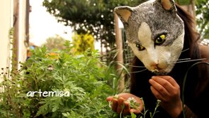 Tràiler del documental sobre MIAU (Movimiento Insurrecto por la Autonomia de Una misma).