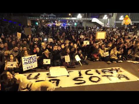 Manifestació per demanar justícia per a la gossa Sota morta d'un tret per un guardia urbano. La manifestació va recorre diferents carrers de Sants el dia 29 de desembre del 2018.<br/>