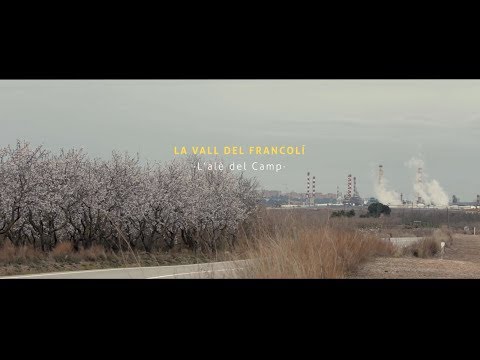 Què s?amaga darrera la indústria petroquímica? Un retrat de la preocupació dels habitants del Camp de Tarragona per la salut i el medi ambient de la zona que ha sofert grans canvis des de la implantació d?aquesta indústria.<br><br>Realitzem un recorregut per la Vall del Francolí, gairebé oblidada, en companyia d?experts, activistes, veïns i organitzacions que lluiten i donen veu a un territori que resisteix, més enllà de les adversitats.<br><br>Guió: Elisenda Trilla Ferré<br>Edició: Guillem Voltas Calbet<br>Director de fotografia: Guillem Voltas Calbet<br>Productora: Saurines<br>